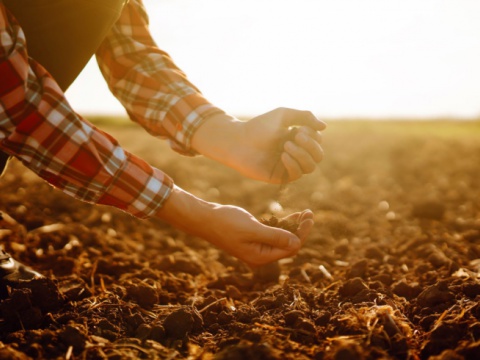  - 3 - NPK Fertilizantes