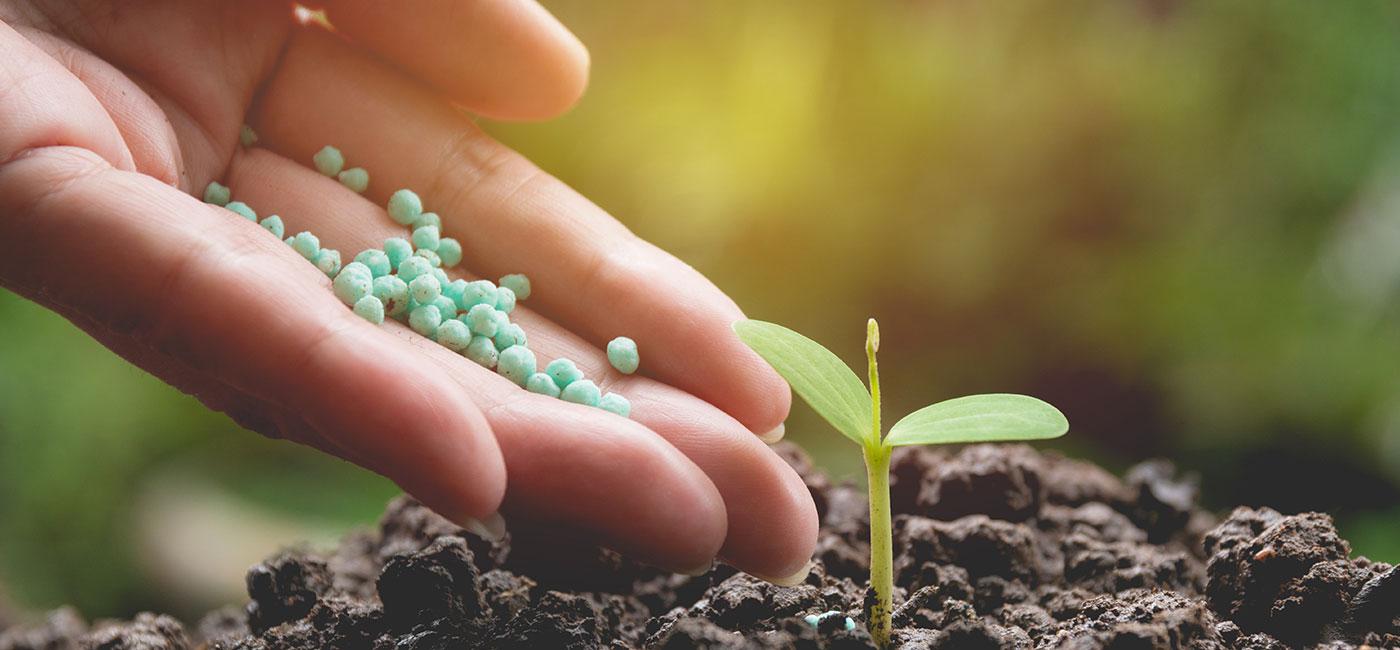 Fertilizante que equilibra, restaura e fortalece a microbiota do solo. NPK Fertilizantes